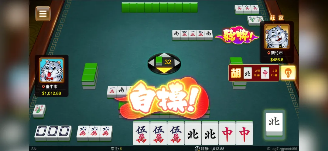 RG二人麻將遊戲畫面3